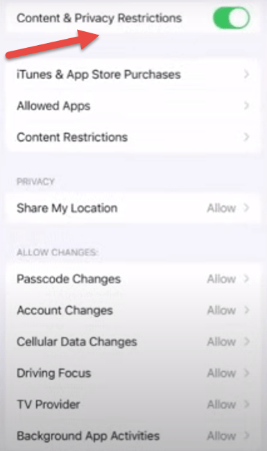 Set Content and Privacy Restrictions